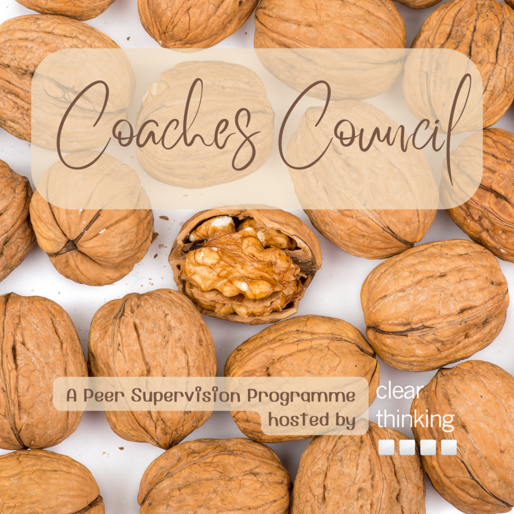 The Coaches Council launches in September. An online peer supervision programme for coaches